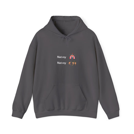 Not My Circus Not My Monkeys IT Guru Hoodie