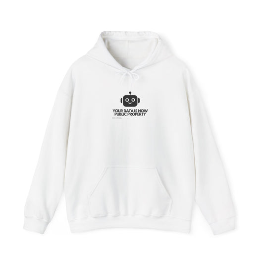 Cyber Warrior — Cybersecurity Hoodie