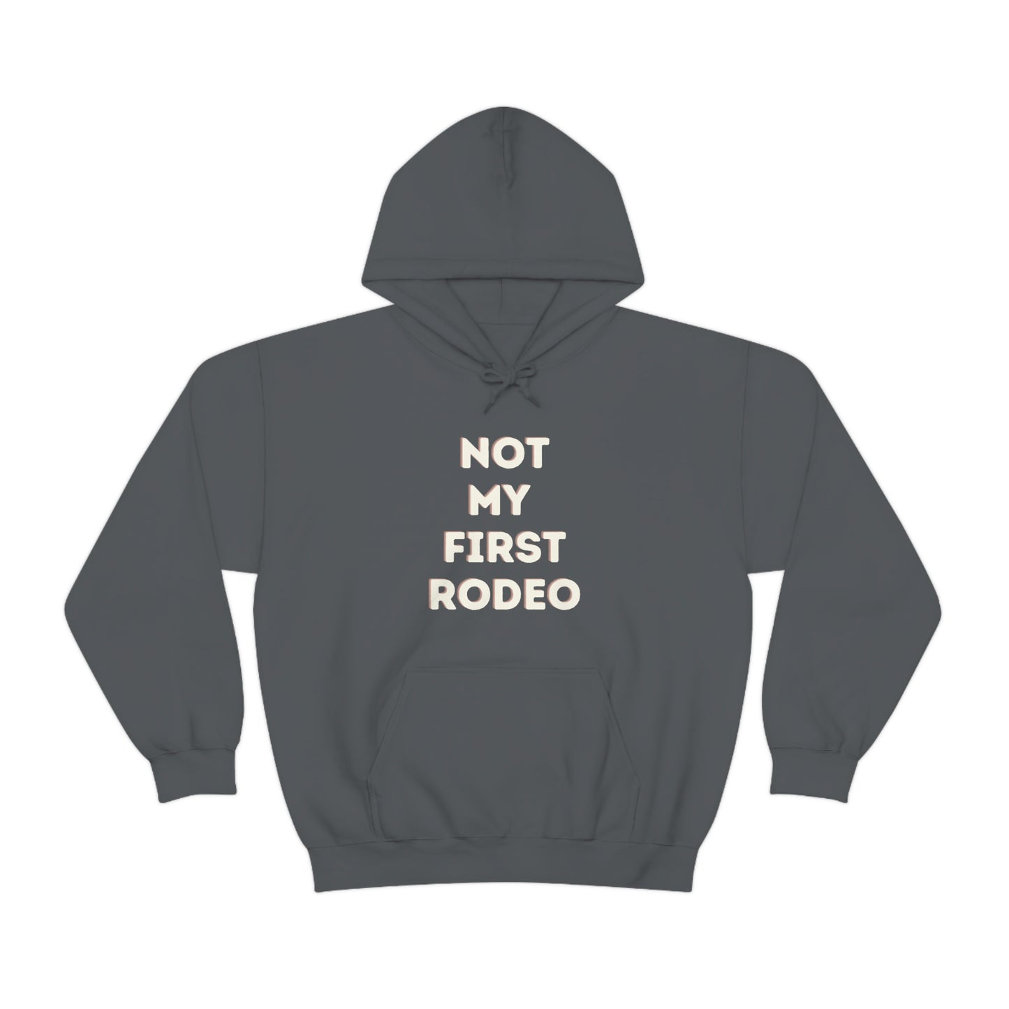 "Not My First Rodeo" Funny, Sysadmin, Geek, Gamer, Developer, Gift Hooded Sweatshirt