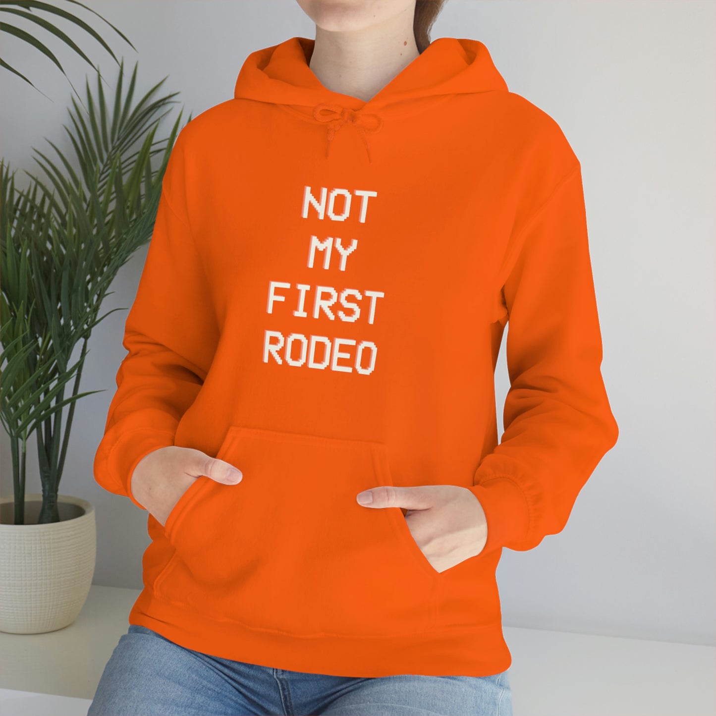 "Not My First Rodeo" Funny, Sysadmin, Geek, Gamer, Developer, Gift Hooded Sweatshirt
