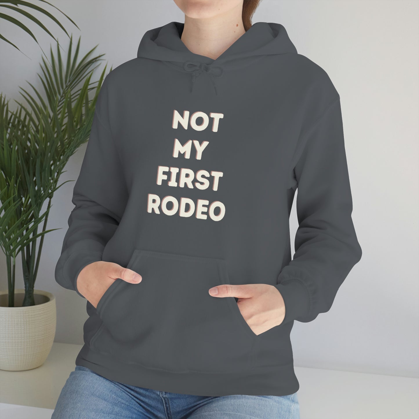 "Not My First Rodeo" Funny, Sysadmin, Geek, Gamer, Developer, Gift Hooded Sweatshirt