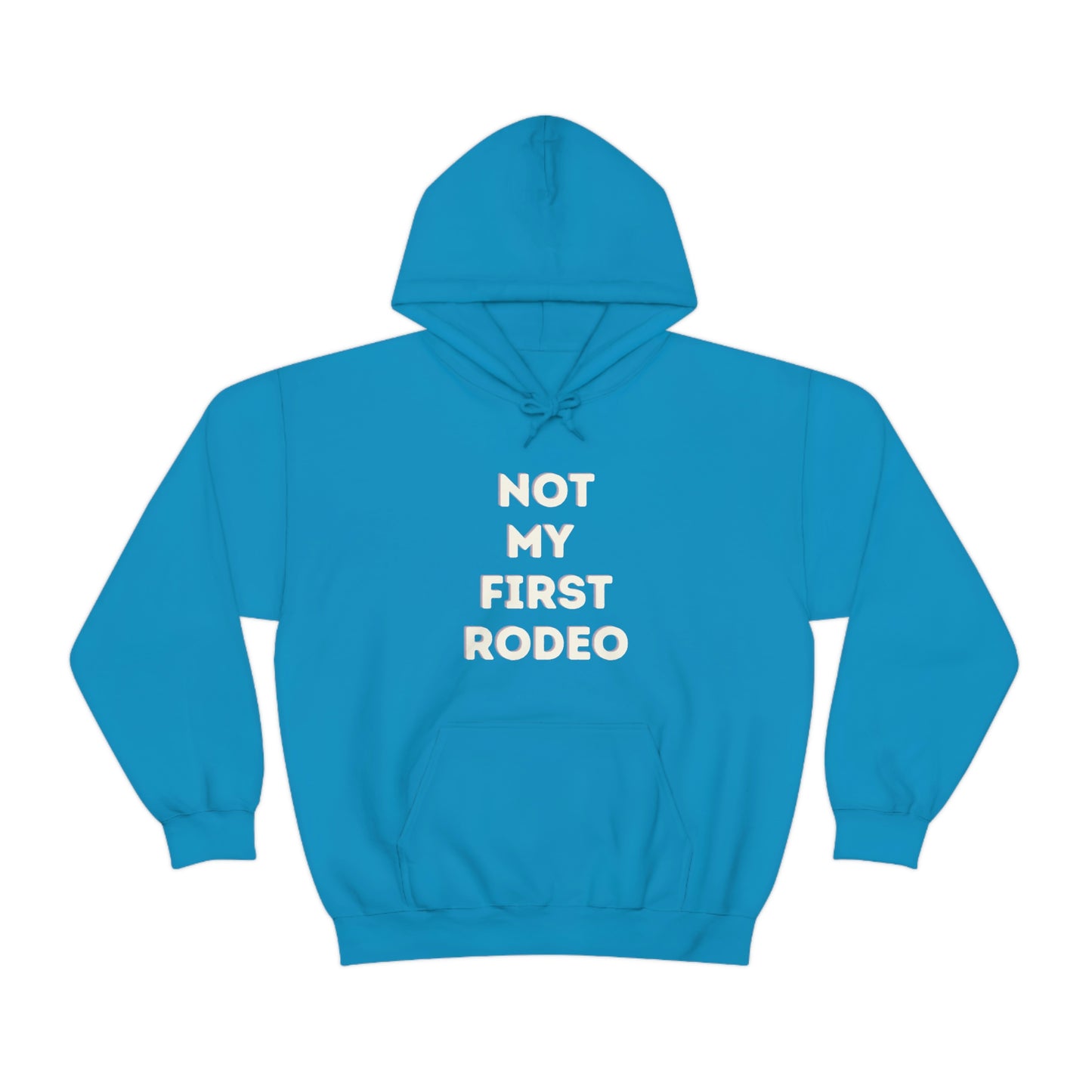 "Not My First Rodeo" Funny, Sysadmin, Geek, Gamer, Developer, Gift Hooded Sweatshirt