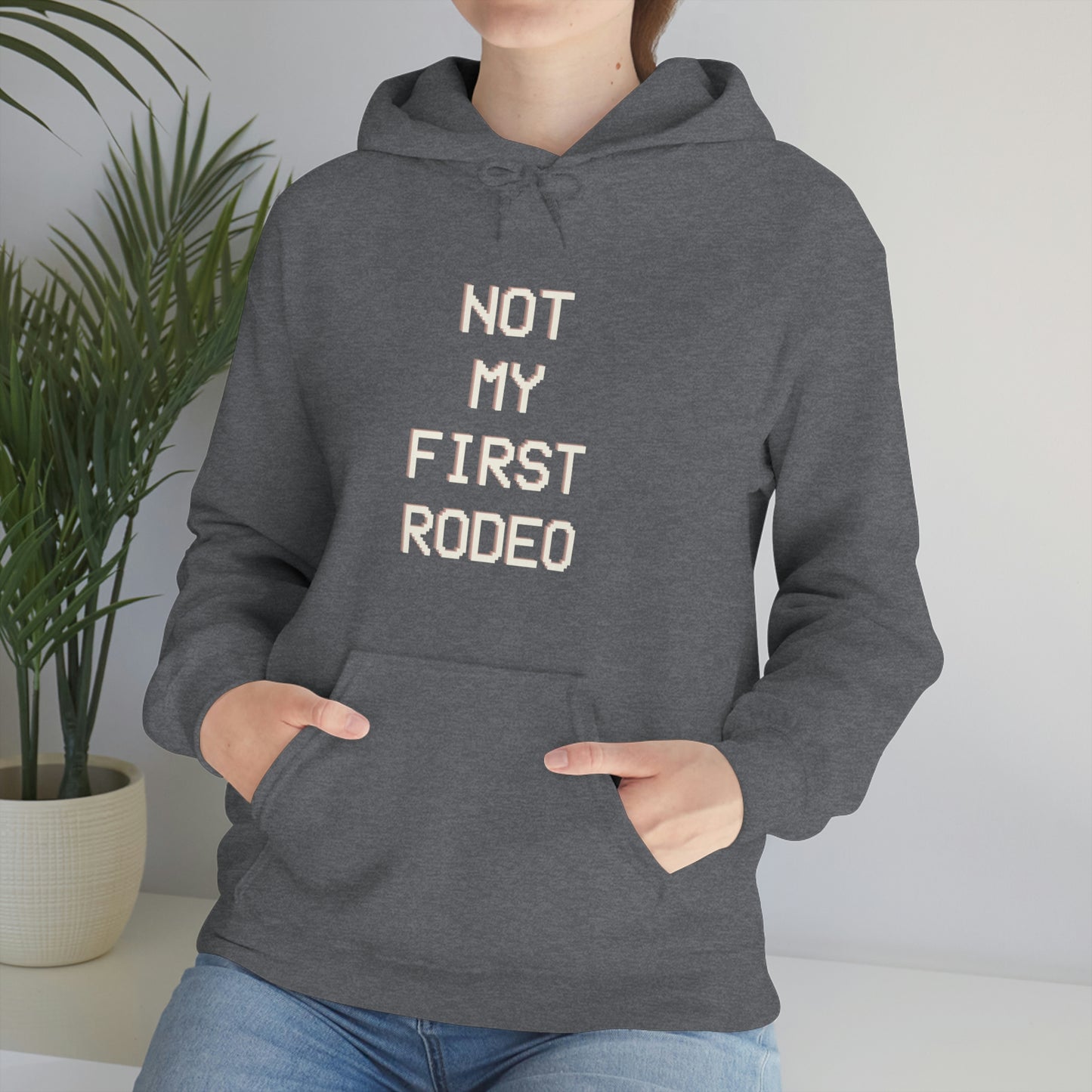 "Not My First Rodeo" Funny, Sysadmin, Geek, Gamer, Developer, Gift Hooded Sweatshirt