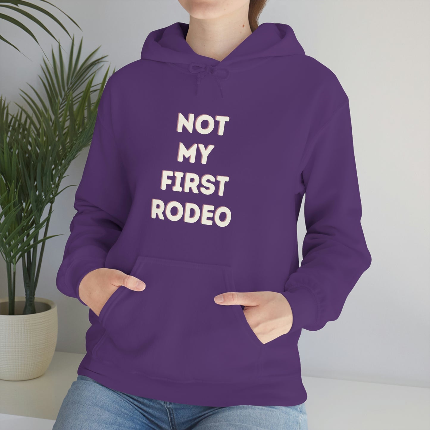 "Not My First Rodeo" Funny, Sysadmin, Geek, Gamer, Developer, Gift Hooded Sweatshirt