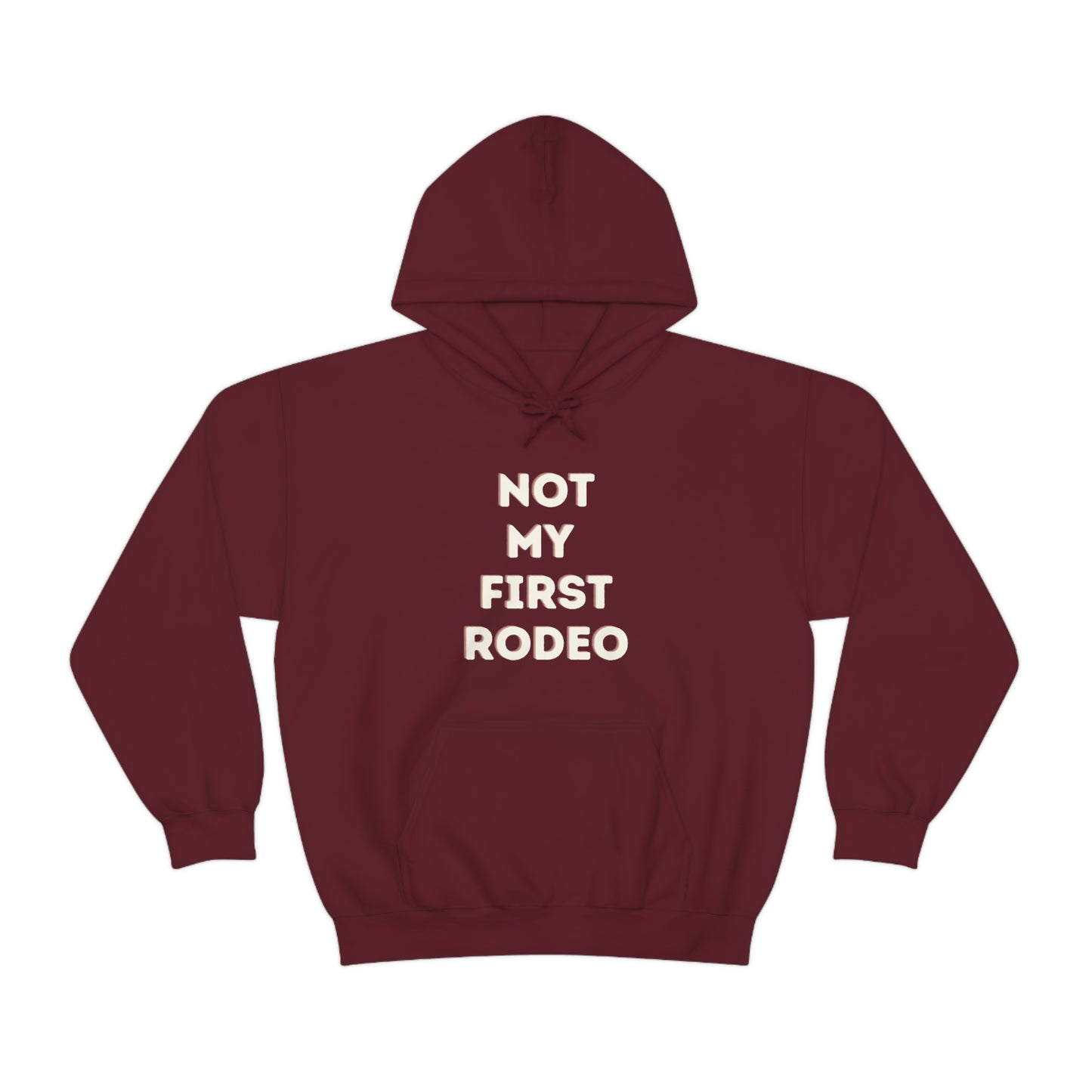 "Not My First Rodeo" Funny, Sysadmin, Geek, Gamer, Developer, Gift Hooded Sweatshirt