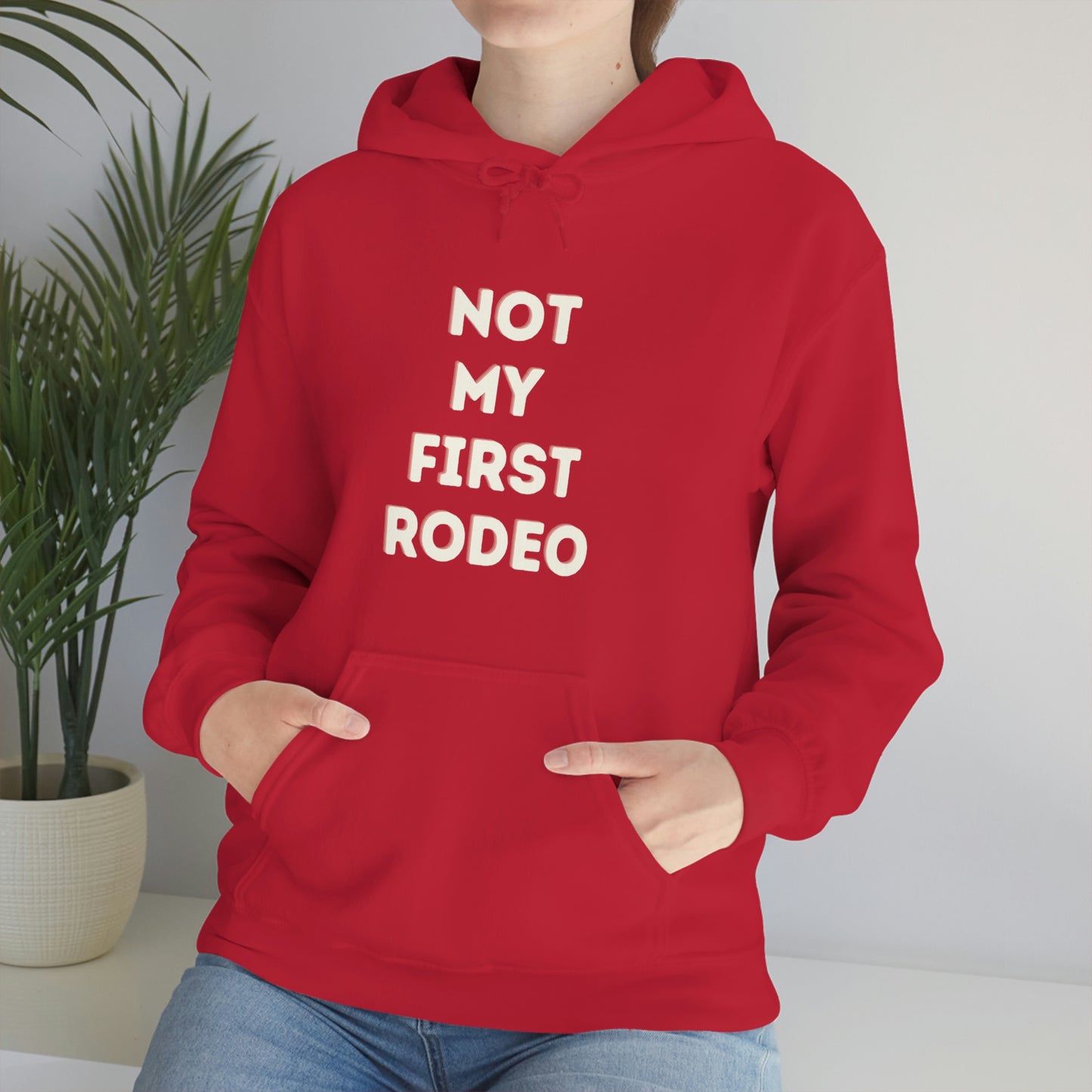 "Not My First Rodeo" Funny, Sysadmin, Geek, Gamer, Developer, Gift Hooded Sweatshirt