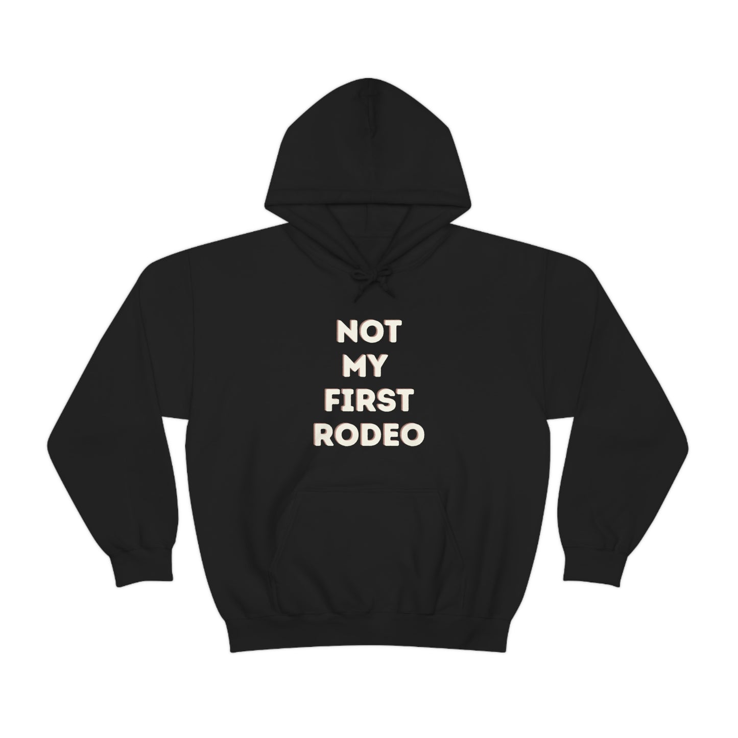 "Not My First Rodeo" Funny, Sysadmin, Geek, Gamer, Developer, Gift Hooded Sweatshirt