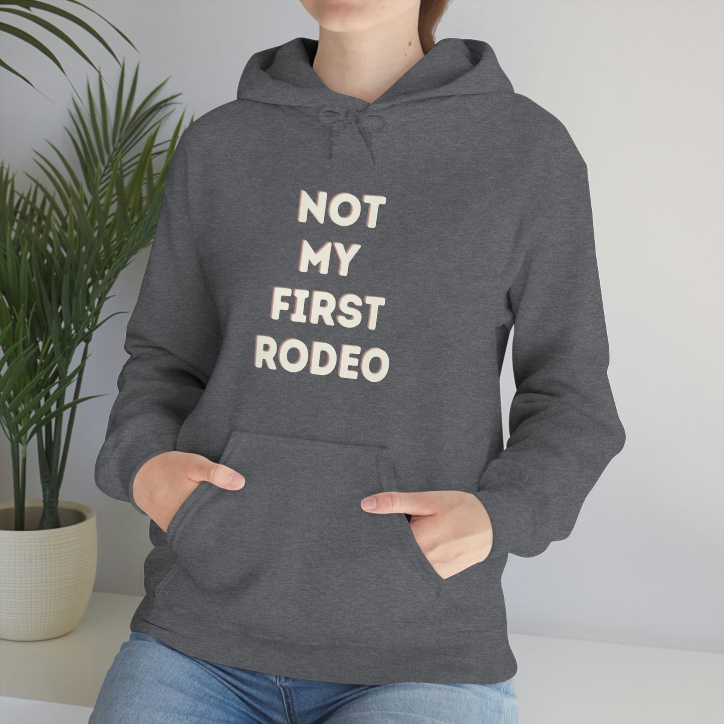 "Not My First Rodeo" Funny, Sysadmin, Geek, Gamer, Developer, Gift Hooded Sweatshirt