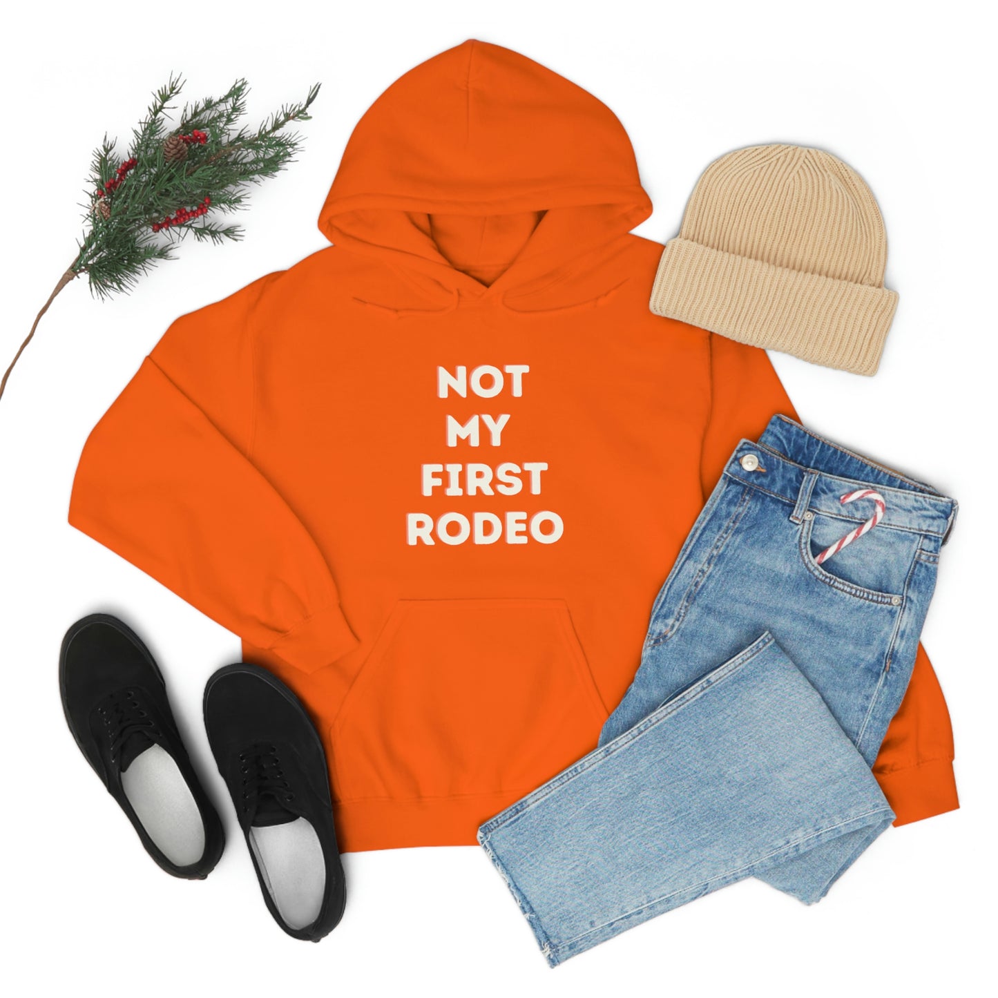 "Not My First Rodeo" Funny, Sysadmin, Geek, Gamer, Developer, Gift Hooded Sweatshirt