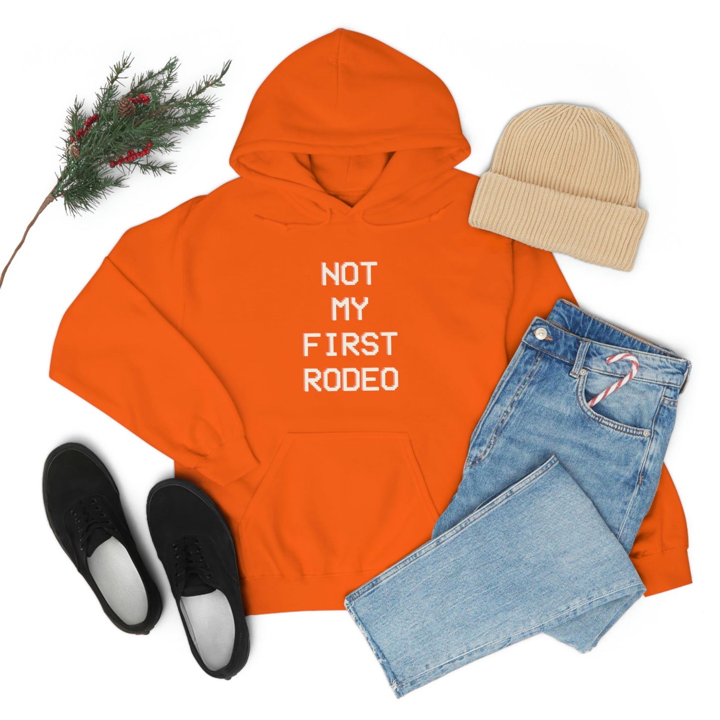 "Not My First Rodeo" Funny, Sysadmin, Geek, Gamer, Developer, Gift Hooded Sweatshirt