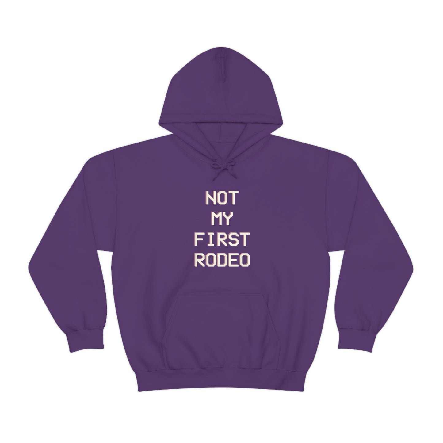 "Not My First Rodeo" Funny, Sysadmin, Geek, Gamer, Developer, Gift Hooded Sweatshirt