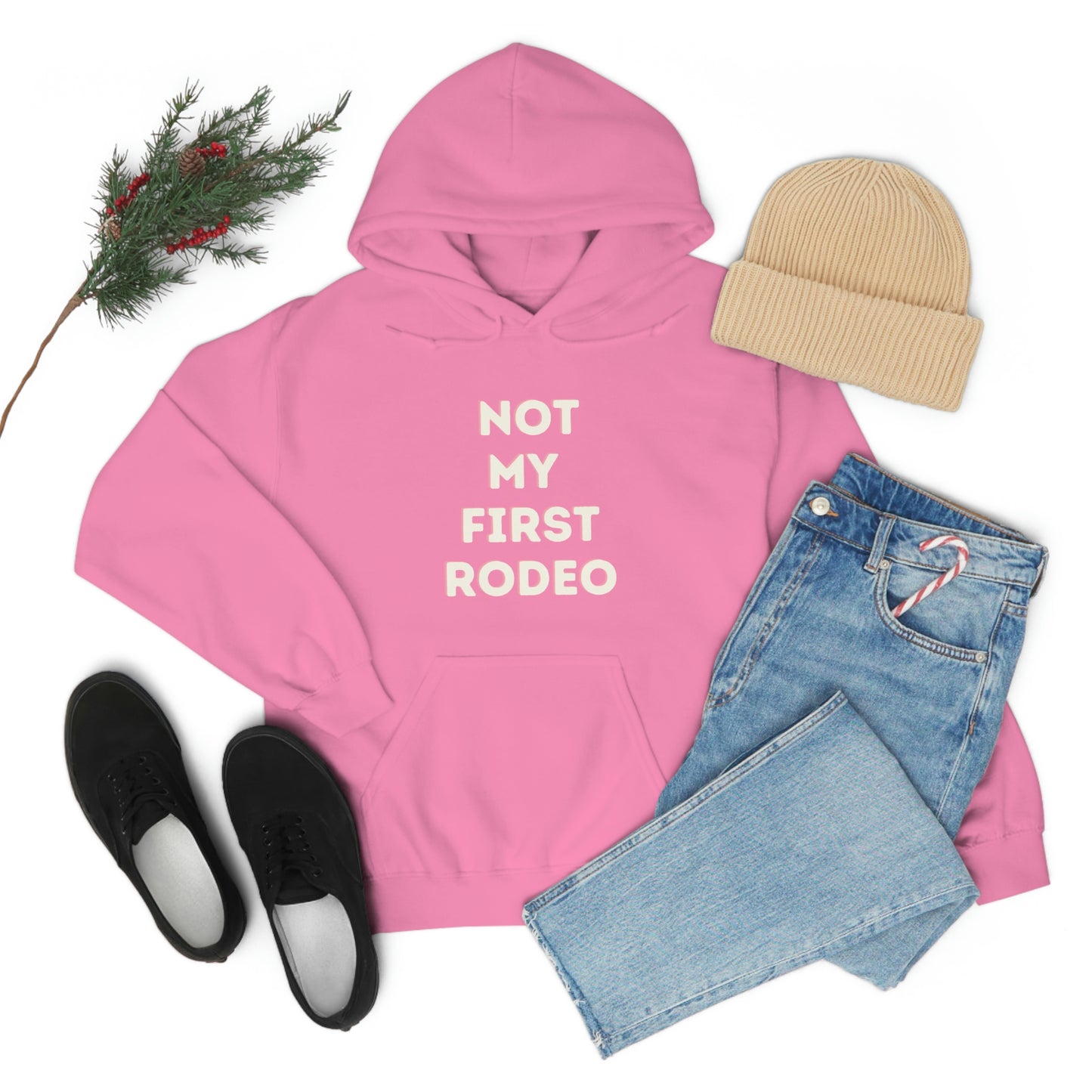 "Not My First Rodeo" Funny, Sysadmin, Geek, Gamer, Developer, Gift Hooded Sweatshirt