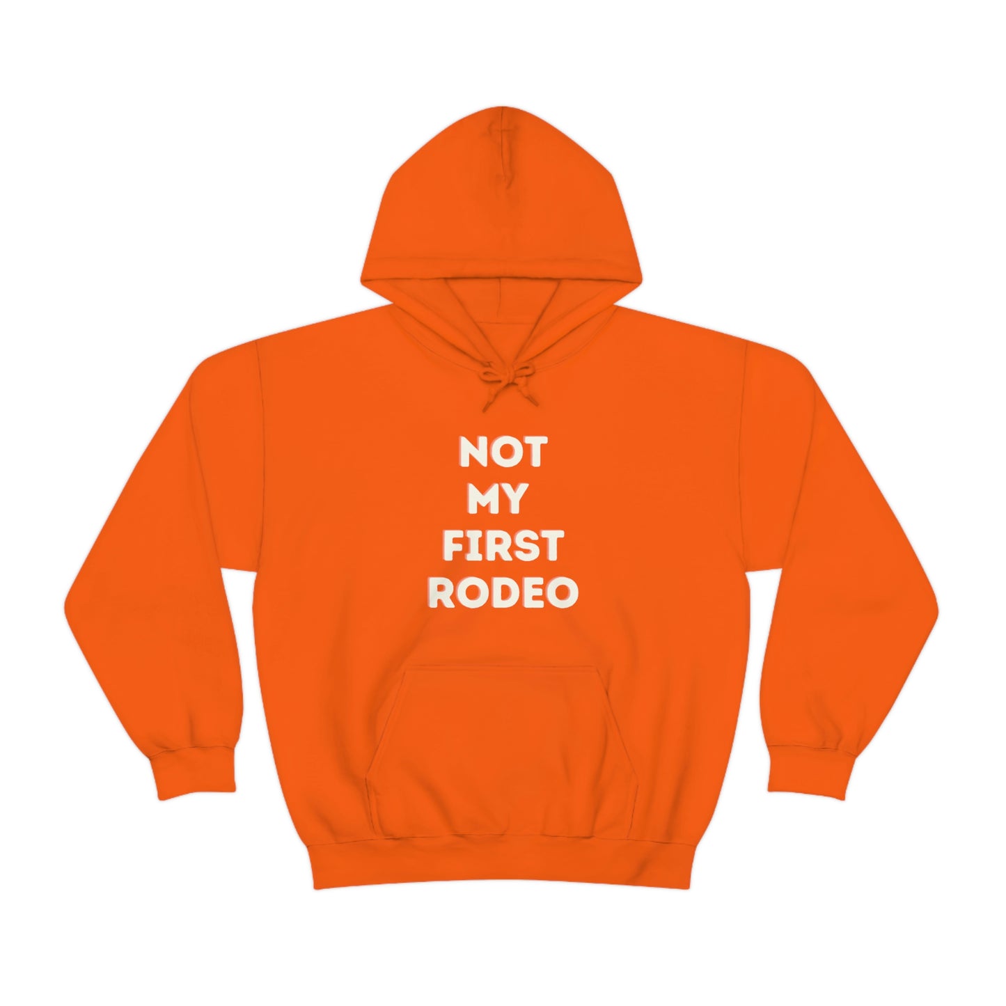 "Not My First Rodeo" Funny, Sysadmin, Geek, Gamer, Developer, Gift Hooded Sweatshirt