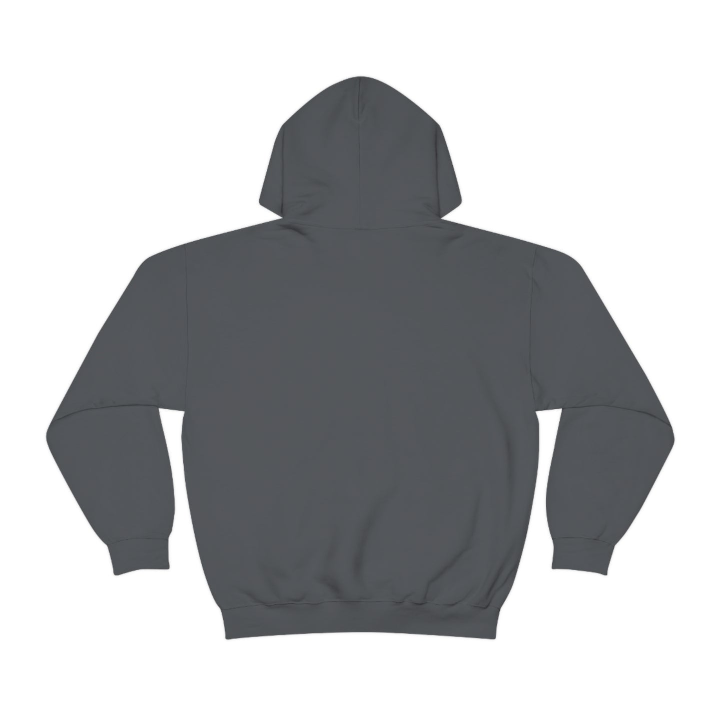 Go on, blame the network - Network Engineer, Cisco, Network, Wifi, Sysadmin, IT Support Hoodie