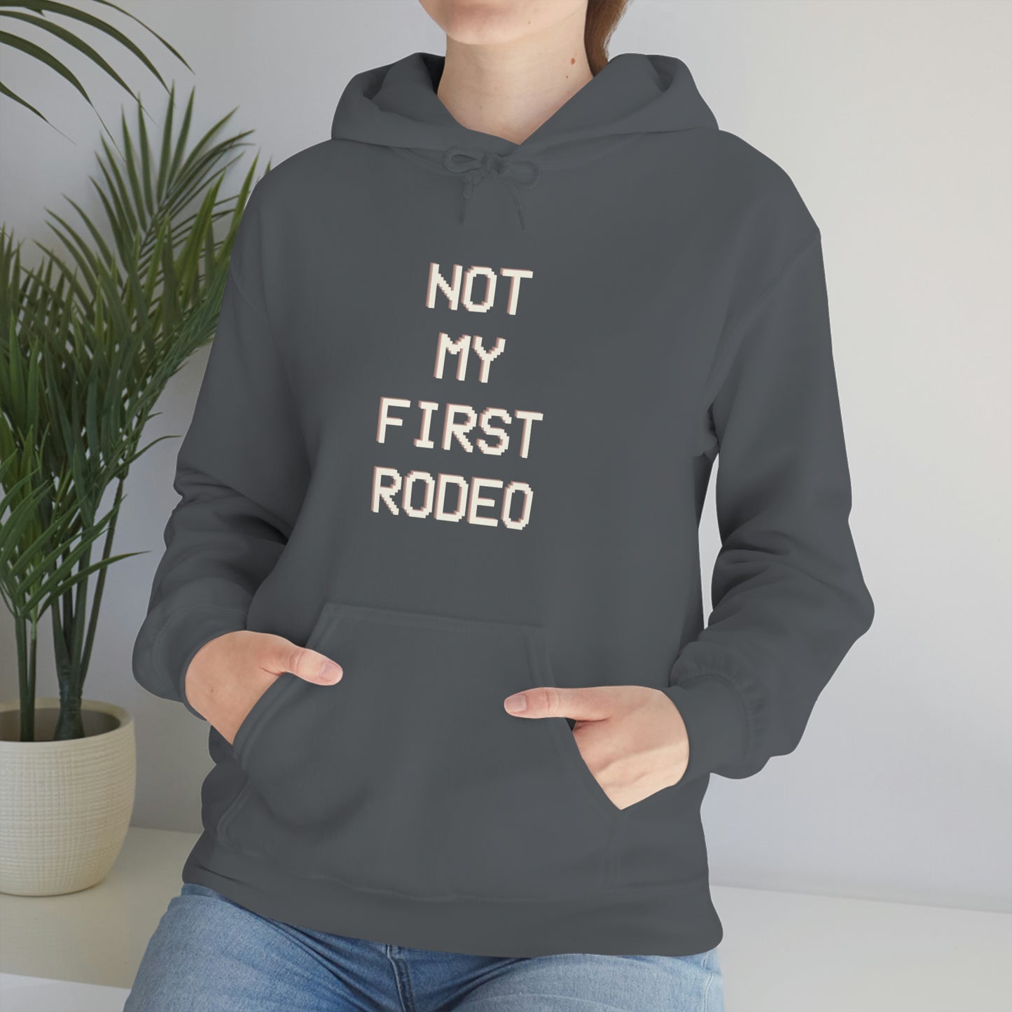 "Not My First Rodeo" Funny, Sysadmin, Geek, Gamer, Developer, Gift Hooded Sweatshirt