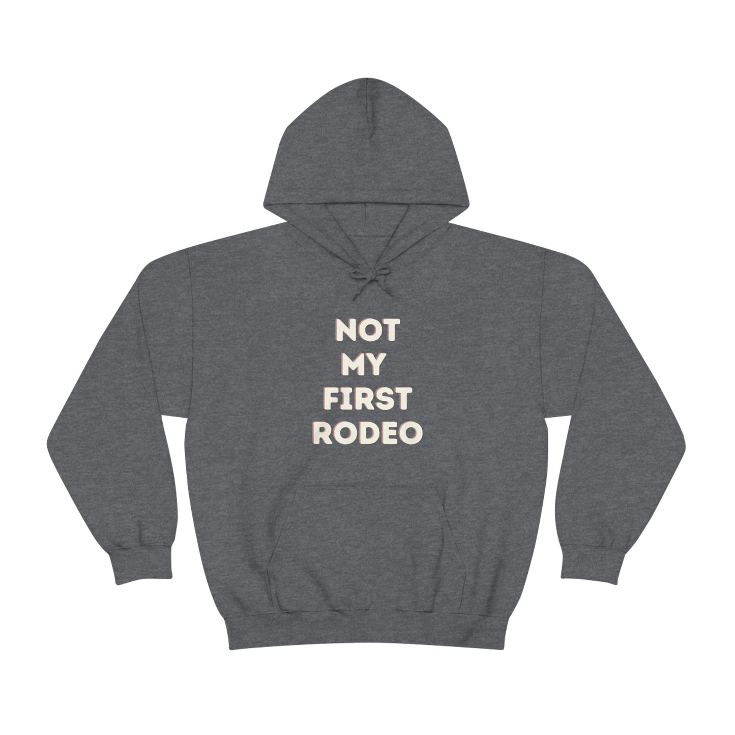 "Not My First Rodeo" Funny, Sysadmin, Geek, Gamer, Developer, Gift Hooded Sweatshirt
