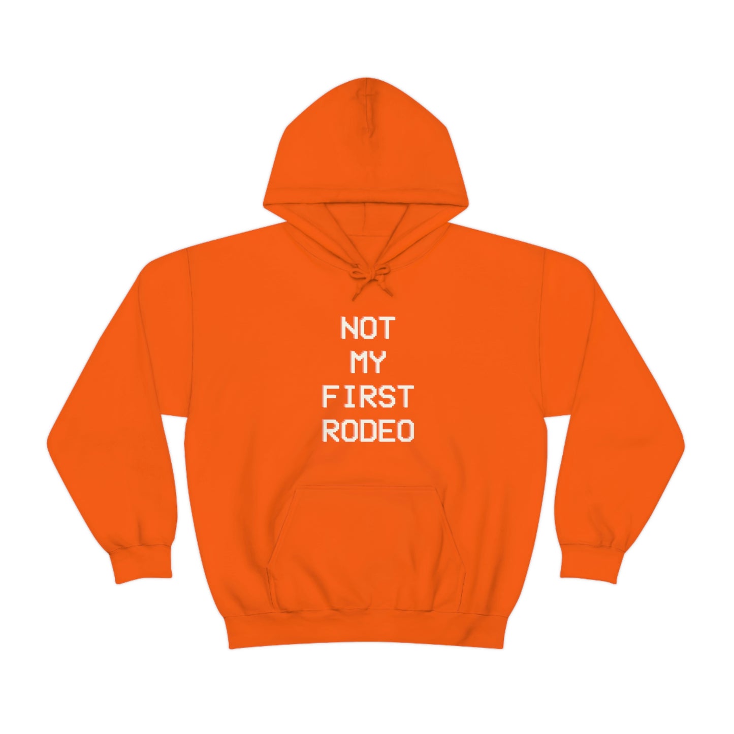 "Not My First Rodeo" Funny, Sysadmin, Geek, Gamer, Developer, Gift Hooded Sweatshirt