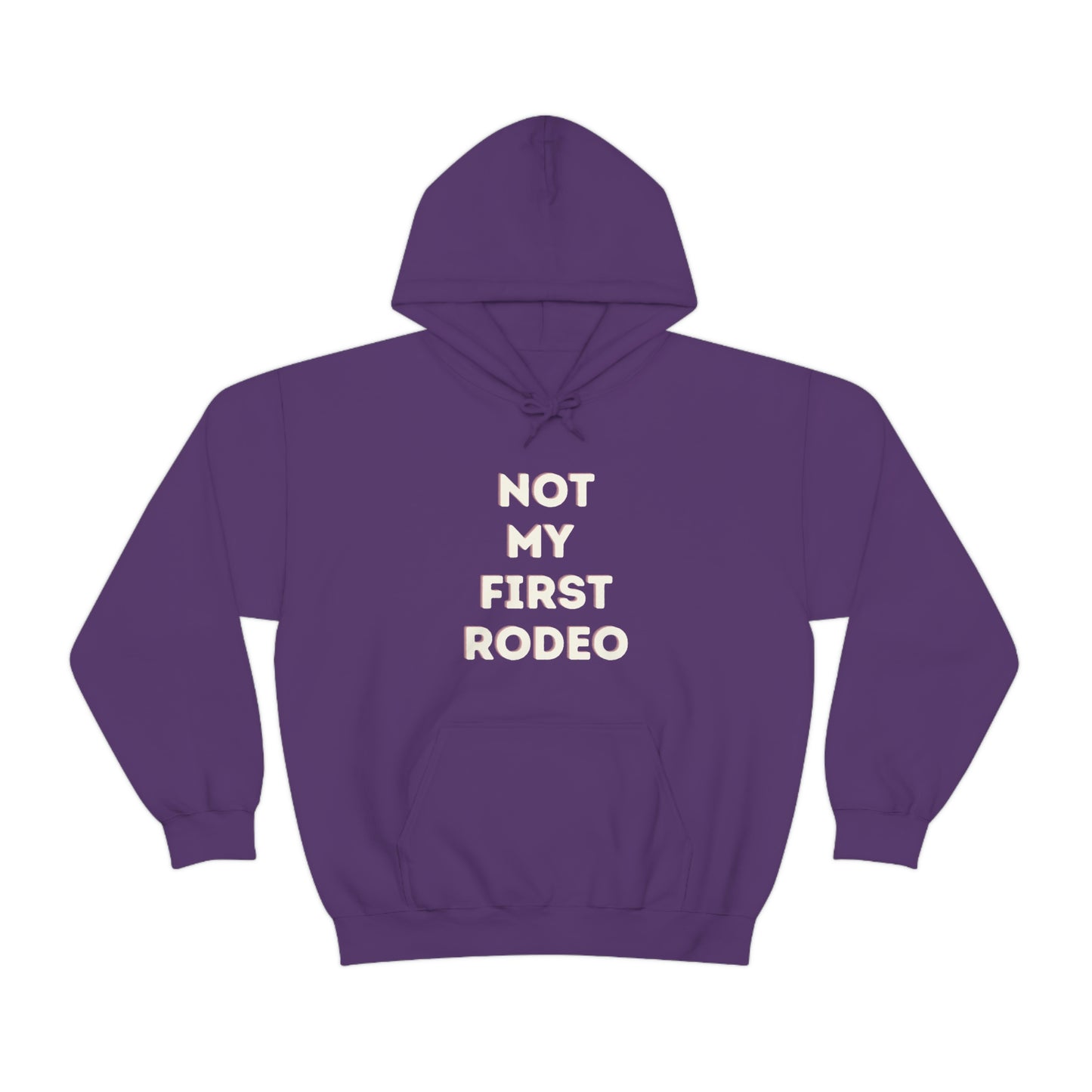 "Not My First Rodeo" Funny, Sysadmin, Geek, Gamer, Developer, Gift Hooded Sweatshirt
