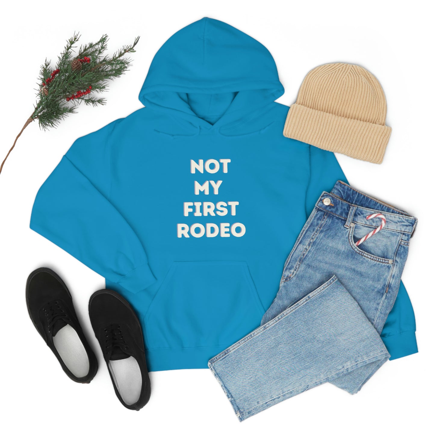"Not My First Rodeo" Funny, Sysadmin, Geek, Gamer, Developer, Gift Hooded Sweatshirt