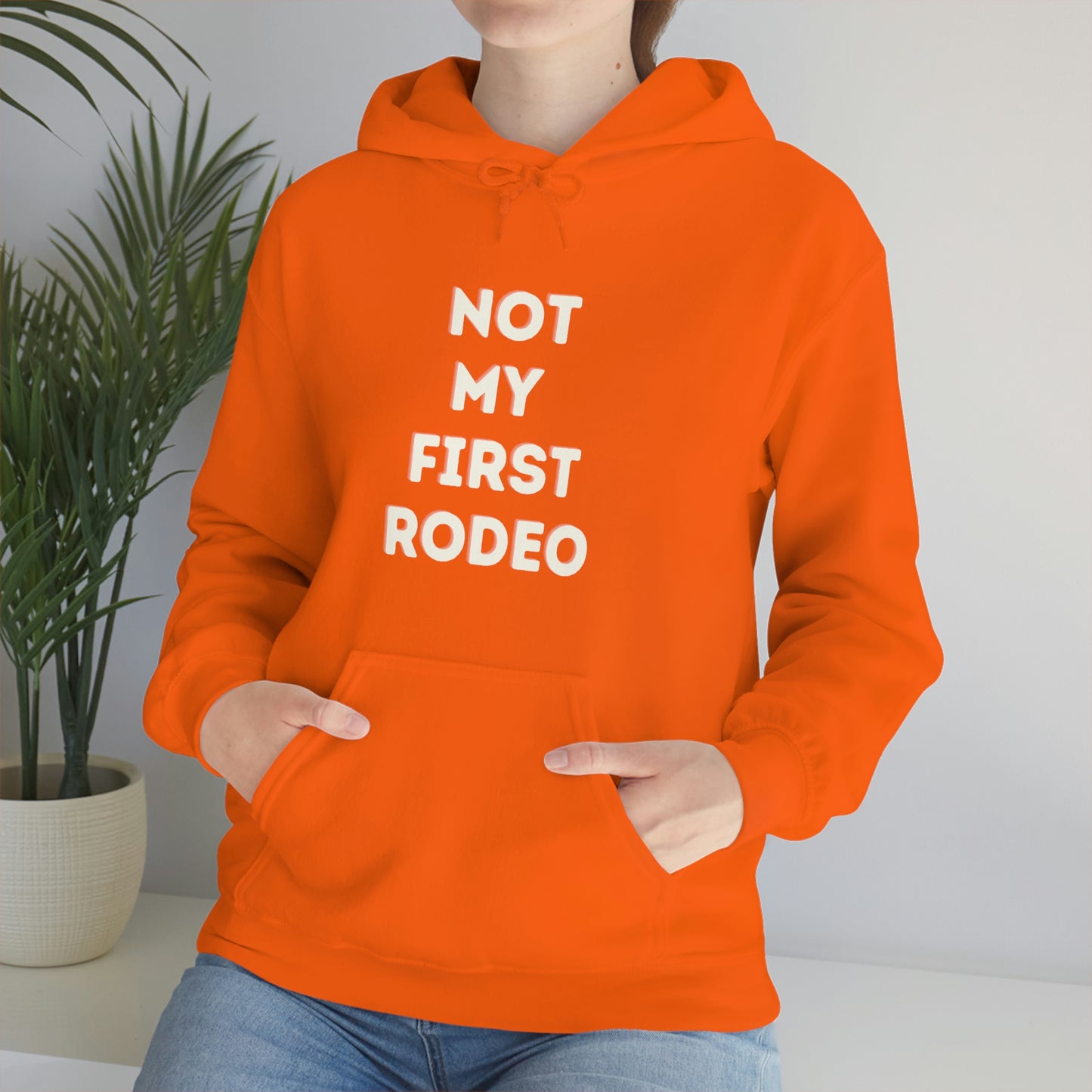 "Not My First Rodeo" Funny, Sysadmin, Geek, Gamer, Developer, Gift Hooded Sweatshirt
