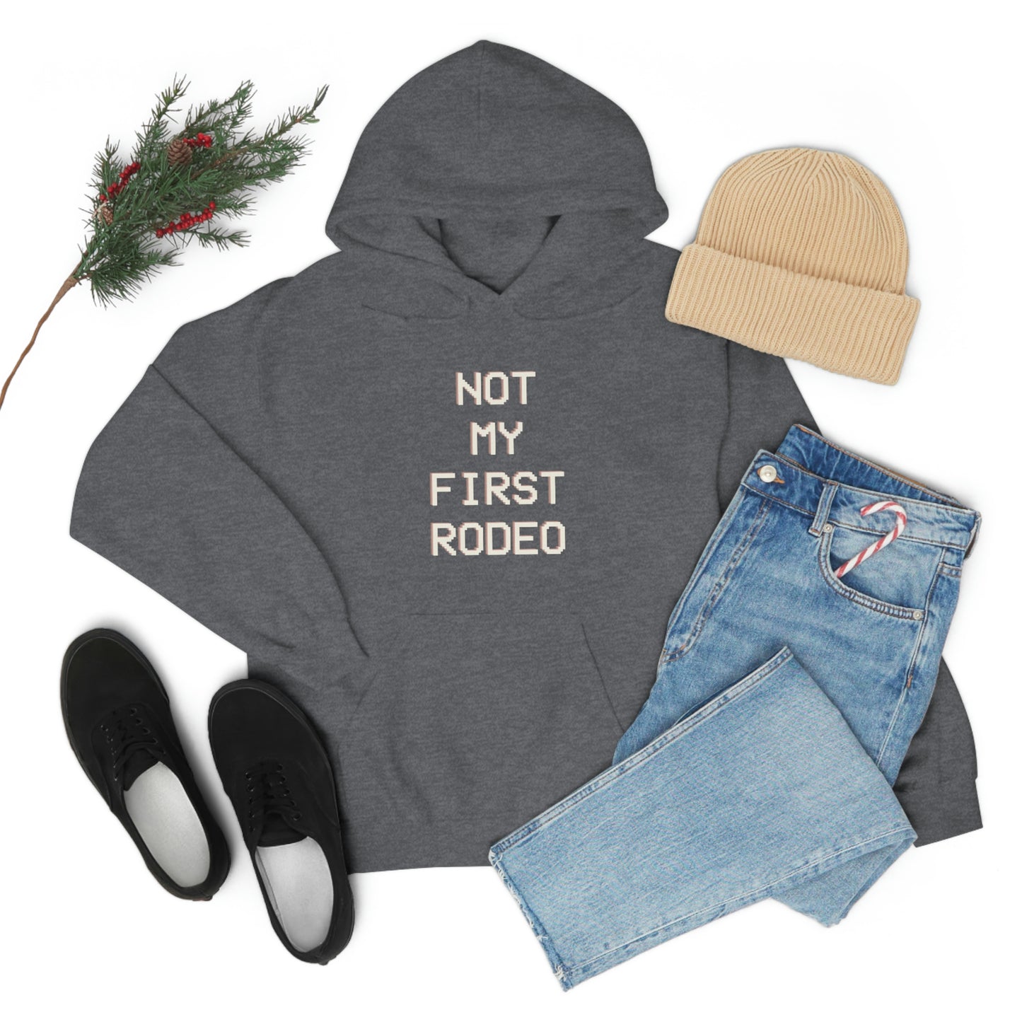"Not My First Rodeo" Funny, Sysadmin, Geek, Gamer, Developer, Gift Hooded Sweatshirt