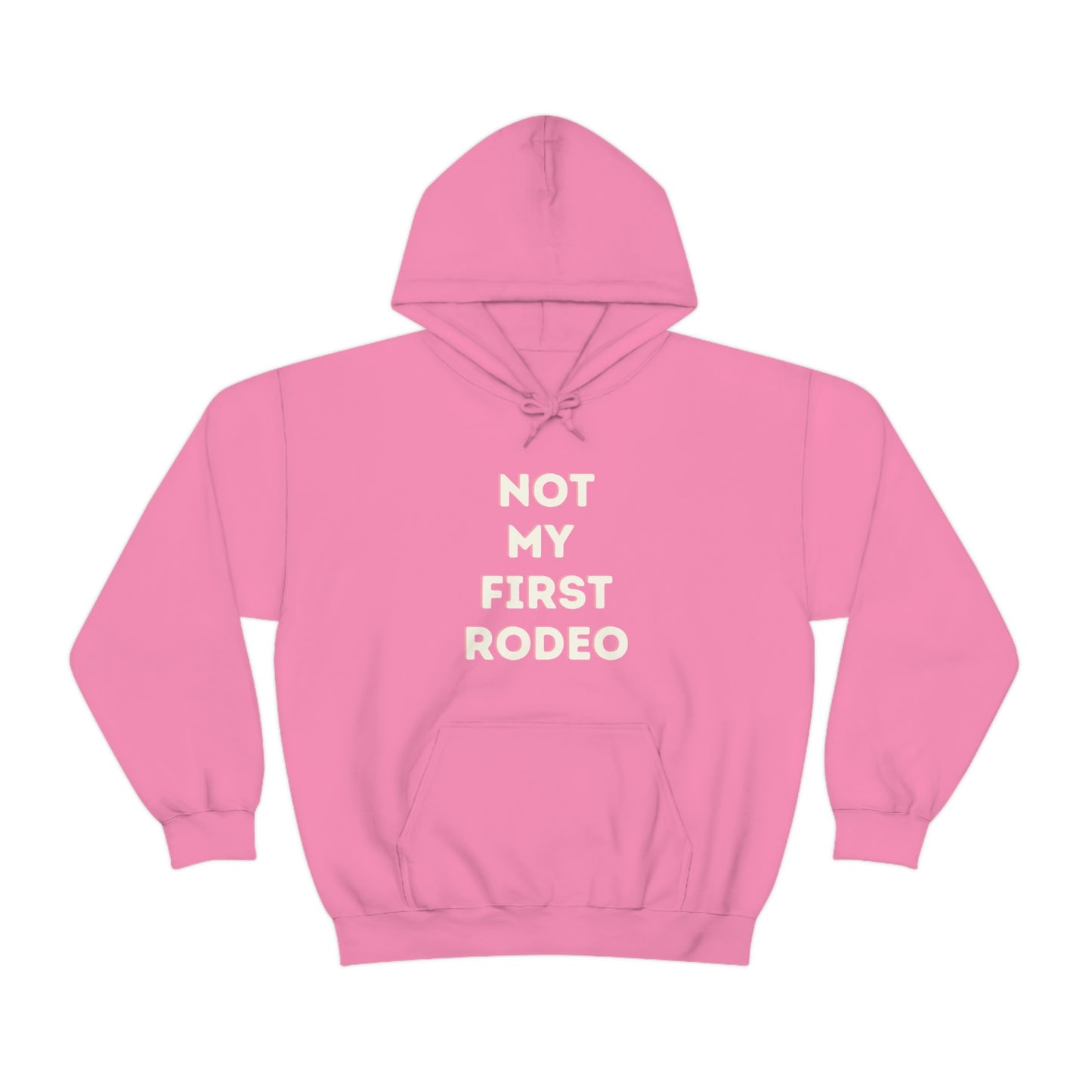 "Not My First Rodeo" Funny, Sysadmin, Geek, Gamer, Developer, Gift Hooded Sweatshirt