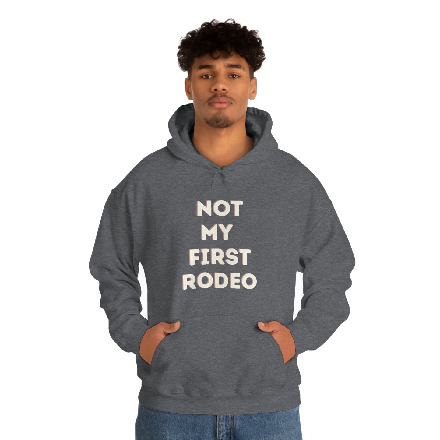 "Not My First Rodeo" Funny, Sysadmin, Geek, Gamer, Developer, Gift Hooded Sweatshirt