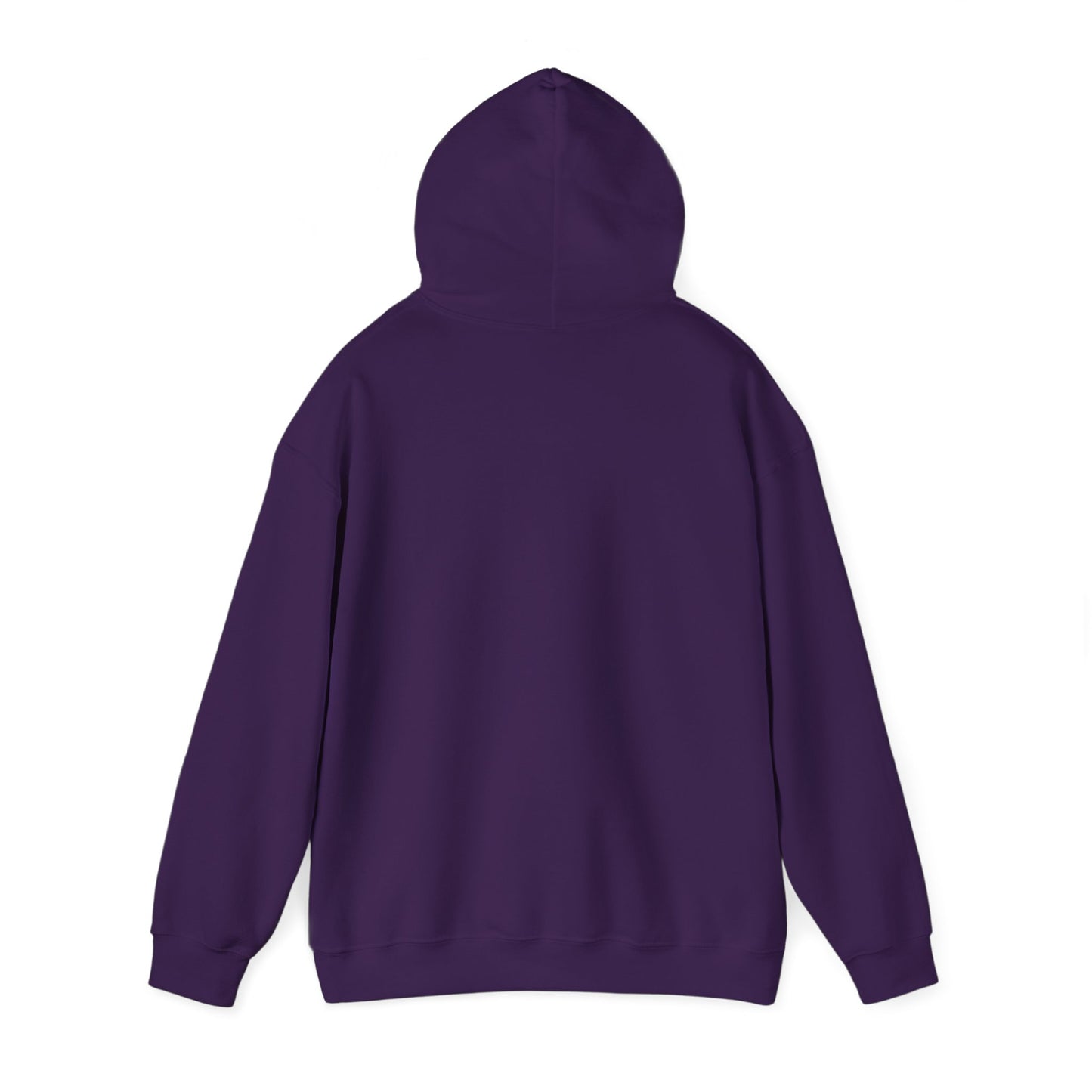 Pa$$word - Is Not Secure Funny Tech Cybersecurity Hoodie