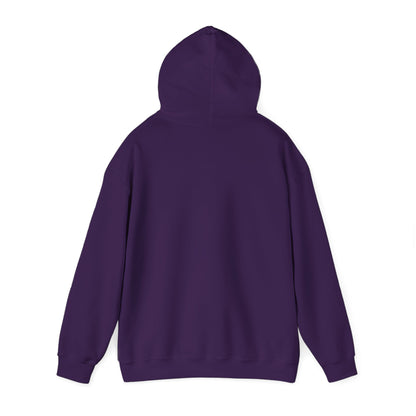 Pa$$word - Is Not Secure Funny Tech Cybersecurity Hoodie