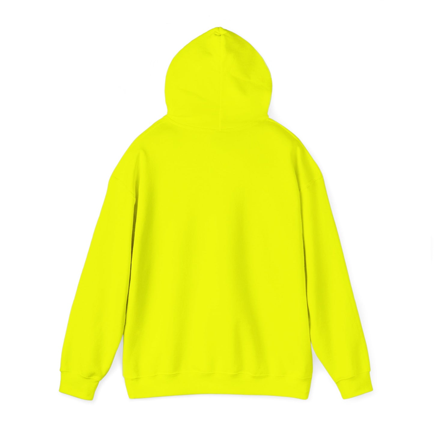 Pa$$word Is Not Secure - RTFM Apparel Cyber Security Tech Geek Hoodie