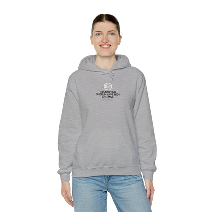 This Meeting Should Have Been An Email - Cozy IT Humor Hoodie, Tech Geek, Sysadmin