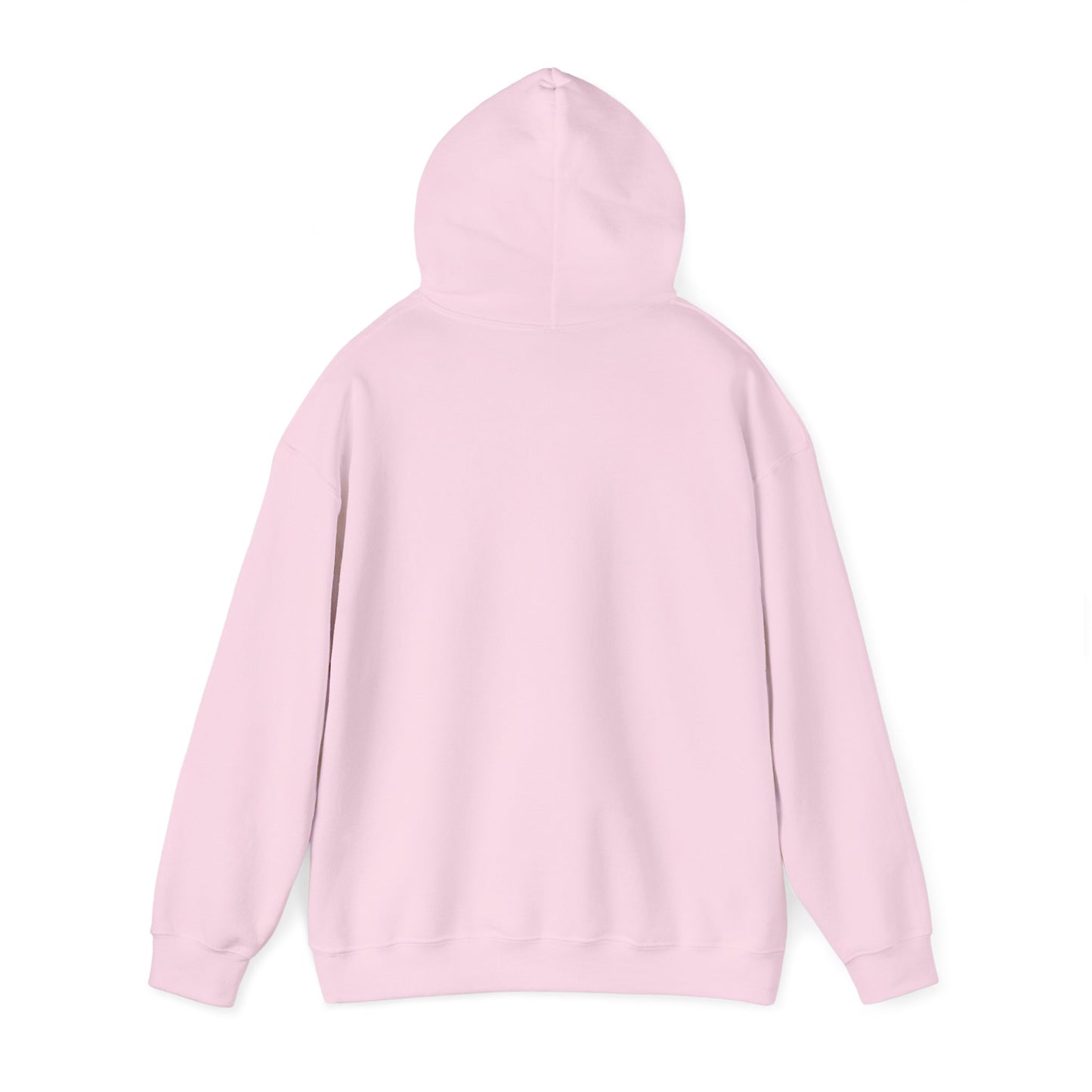 The Duck Of Wisdom Hoodie - Geeky Humor For IT Experts