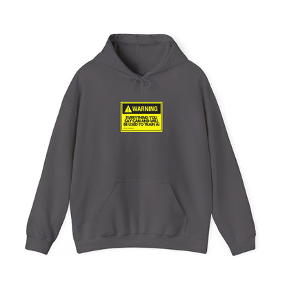 Warning Everything You Say Can And Will Be Used To Train AI Hoodie - Tech, Geek, Cyber Security, AI, Programmer