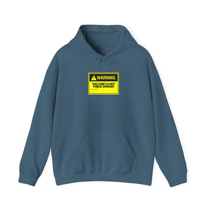 Warning This Hoodie Is Not Public Domain Funny Sysadmin IT Tech Geek Gift