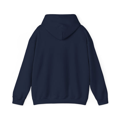 Pa$$word - Is Not Secure Funny Tech Cybersecurity Hoodie