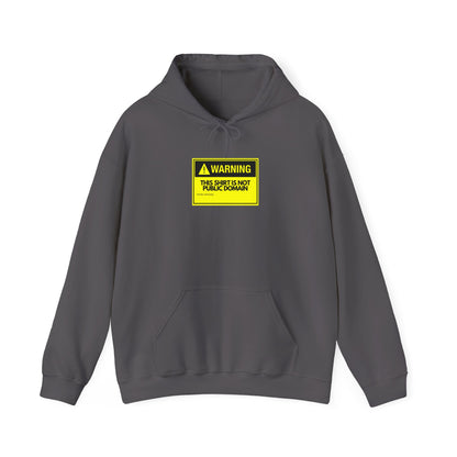 Warning This Hoodie Is Not Public Domain Funny Sysadmin IT Tech Geek Gift