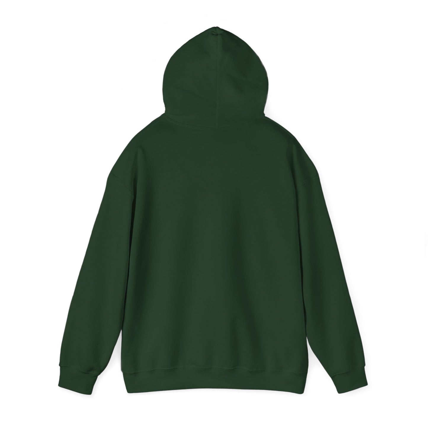 Cyber Warrior Hoodie - Hacking The Matrix - Hacker, Security Expert, Tech Guru