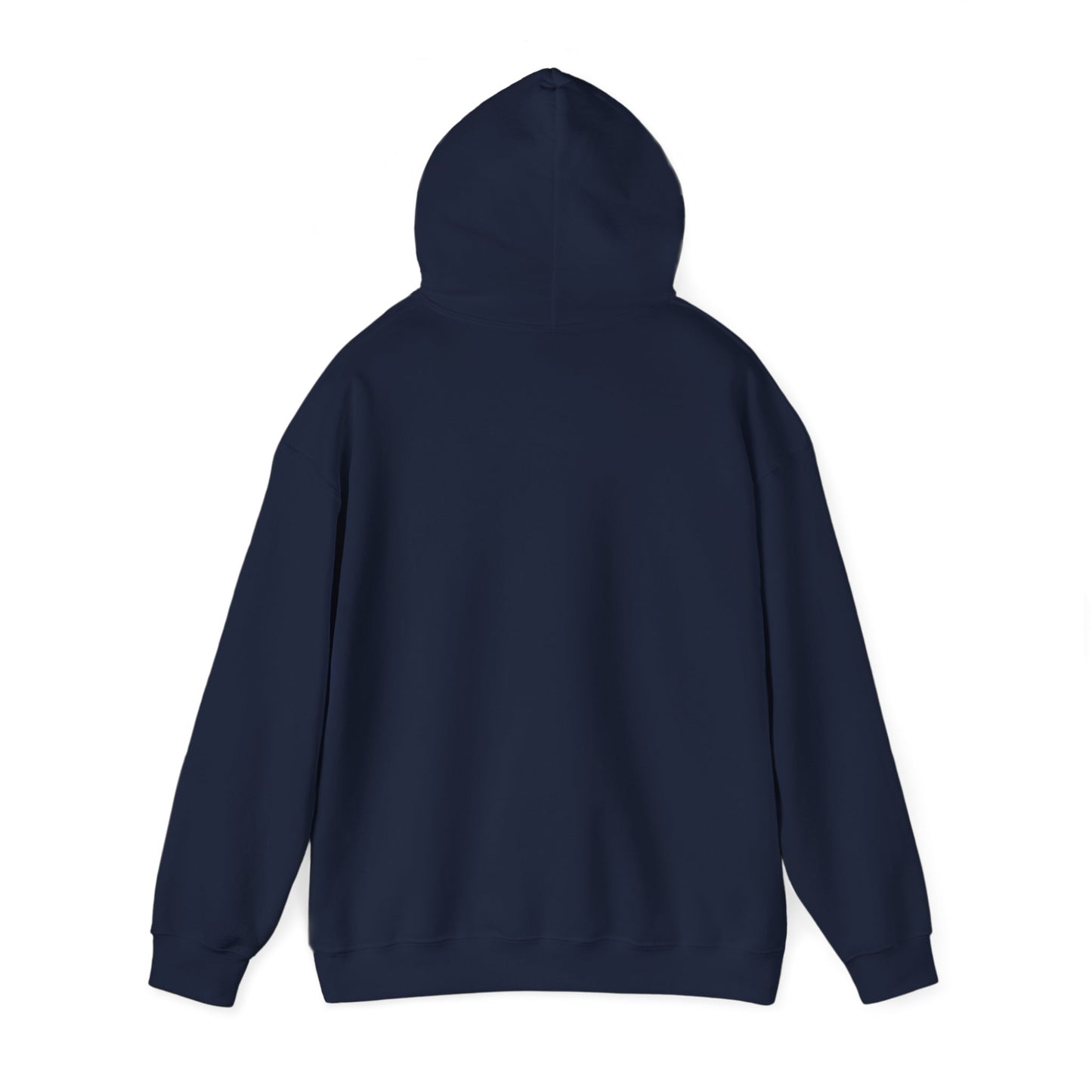 Pa$$word - Is Not Secure Funny Tech Cybersecurity Hoodie