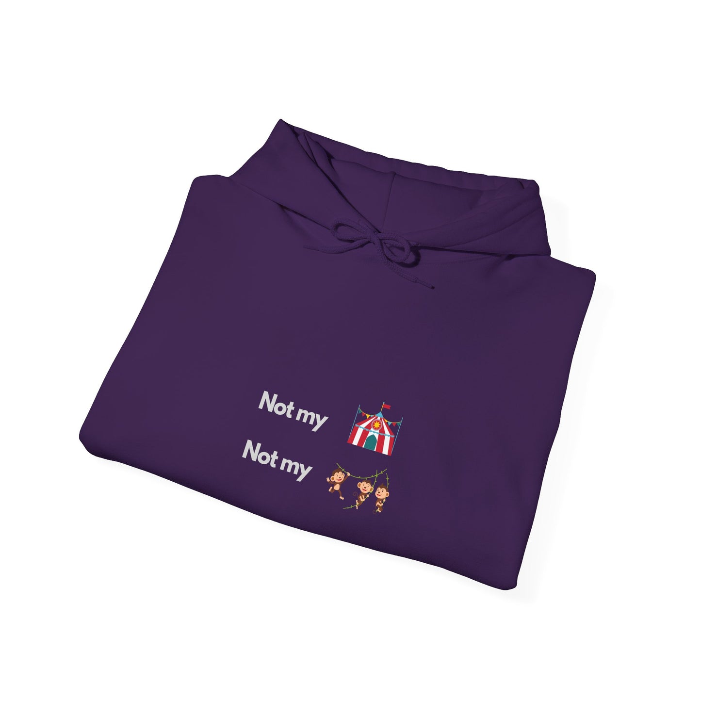 Not My Circus Not My Monkeys IT Guru Hoodie