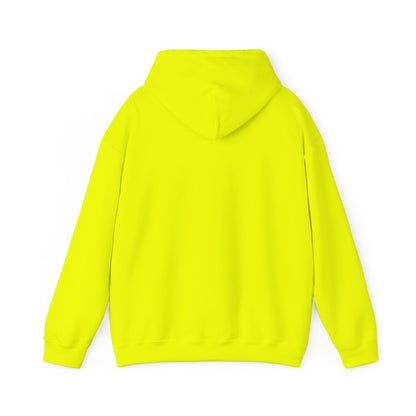 Pa$$word Is Not Secure - RTFM Apparel Cozy Hoodie For IT And Cybersecurity Experts