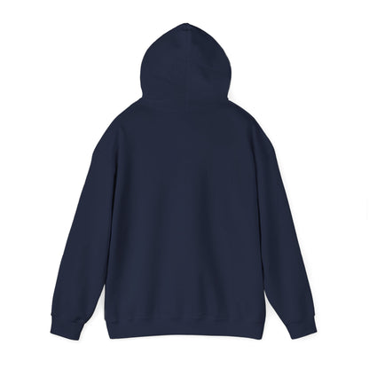 Downloading Cloud — Hoodie
