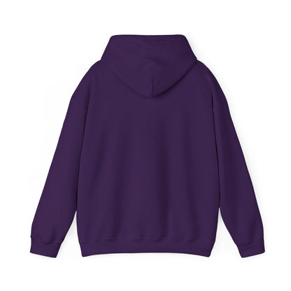 Pa$$word Is Not Secure - RTFM Apparel Cozy Hoodie For IT And Cybersecurity Experts