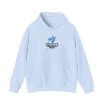 Playful Whale Tech — Cloud Engineer Hoodie