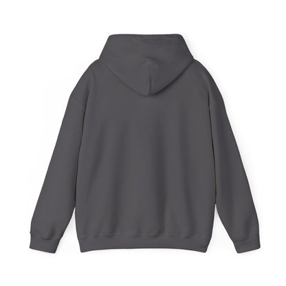 Pa$$word Is Not Secure - RTFM Apparel Cozy Hoodie For IT And Cybersecurity Experts
