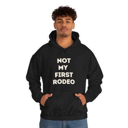 "Not My First Rodeo" Funny, Sysadmin, Geek, Gamer, Developer, Gift Hooded Sweatshirt