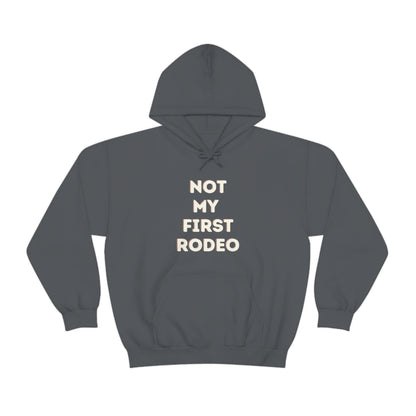 "Not My First Rodeo" Funny, Sysadmin, Geek, Gamer, Developer, Gift Hooded Sweatshirt