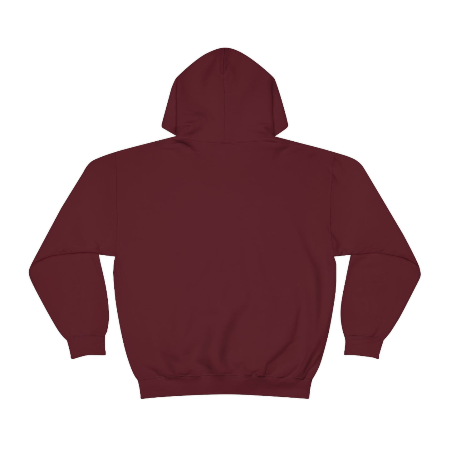 Talk Techy to me Hoodie