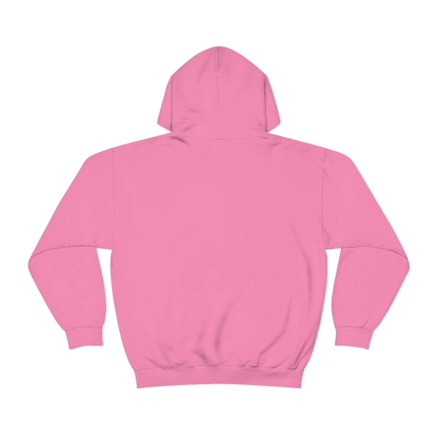 Not My First Rodeo Hoodie