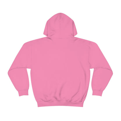 Not My First Rodeo Hoodie