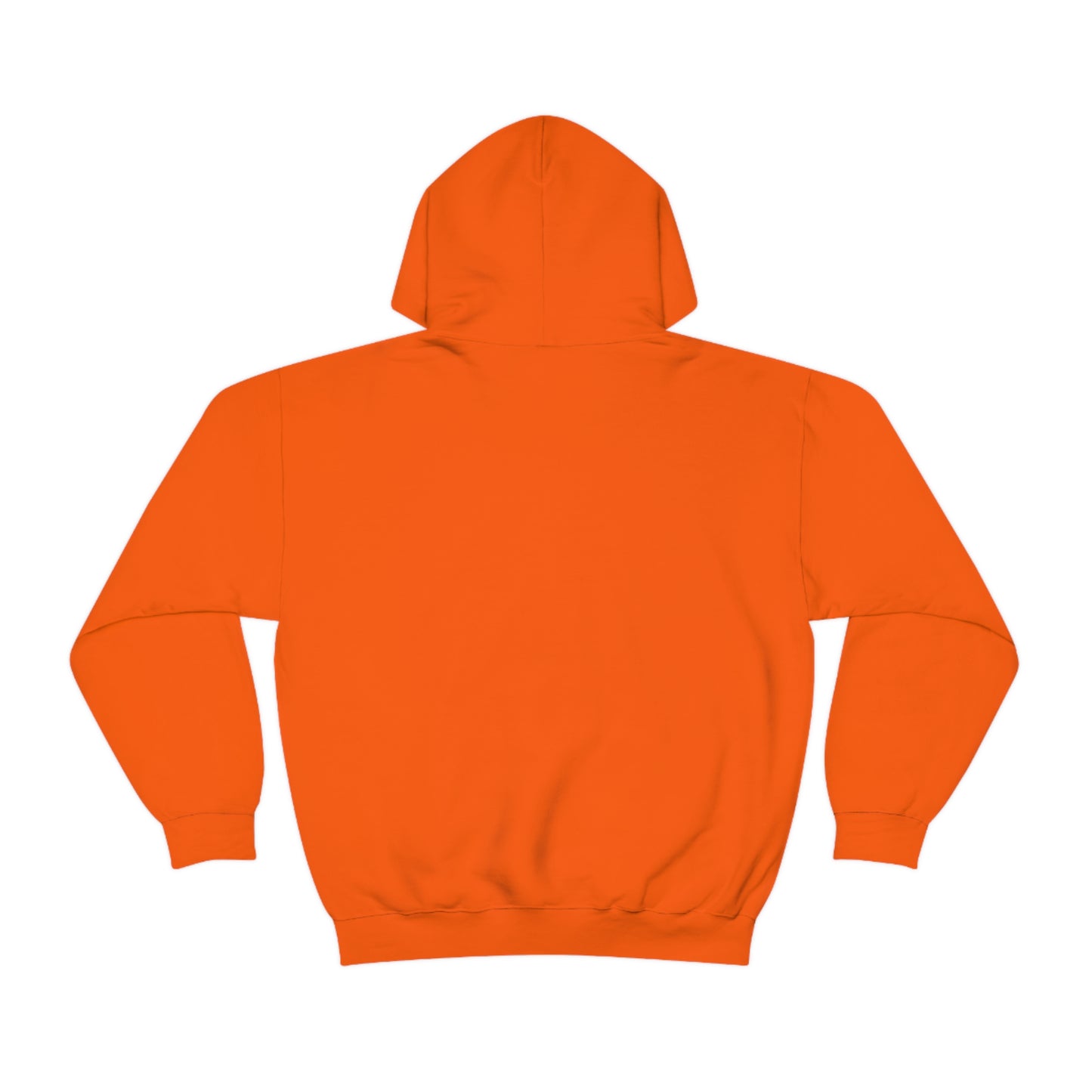 Go on, blame the network - Network Engineer, Cisco, Network, Wifi, Sysadmin, IT Support Hoodie